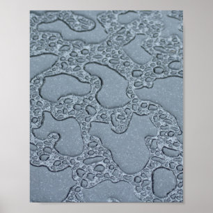 Puddles of Rain Poster