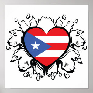 Puero Rico Drapeau Boricua Cute Simple Poster