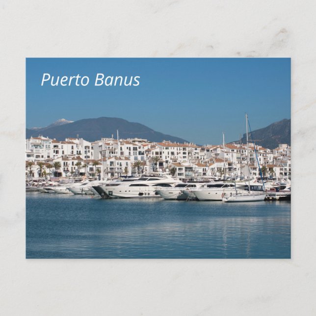 Puerto Banus Marina Postcard (Front)