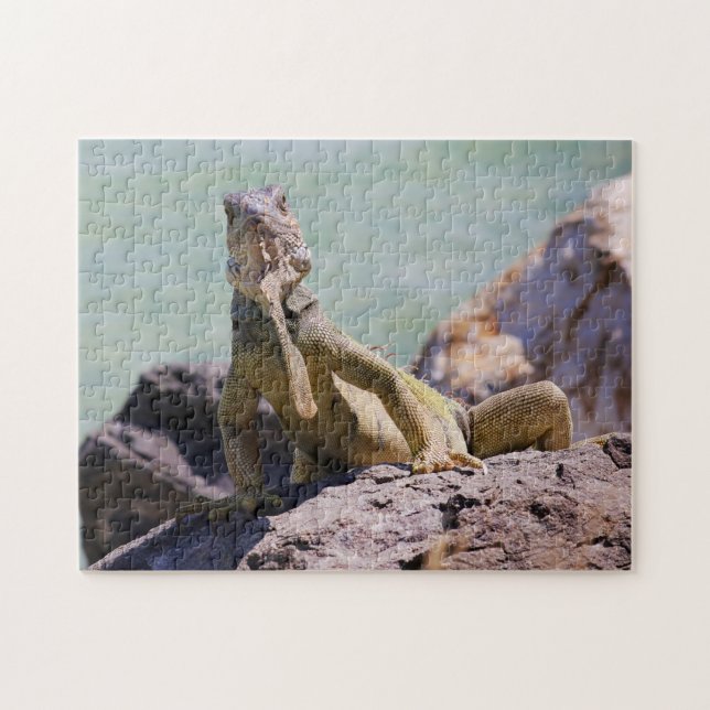 Puerto Rican Large Iguana Jigsaw Puzzle (Horizontal)