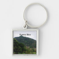 Puerto Rican Rainforest