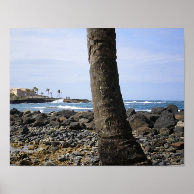 Puerto Rico Beach by RZB Poster (Front)