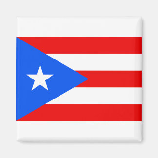 Puerto Rico Flag Magnet