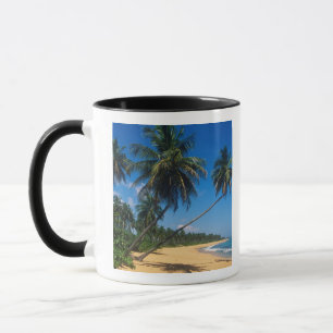 Puerto Rico, Isla Verde, palm trees. Mug