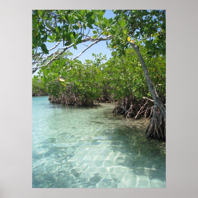 Puerto Rico Photo Poster (Front)