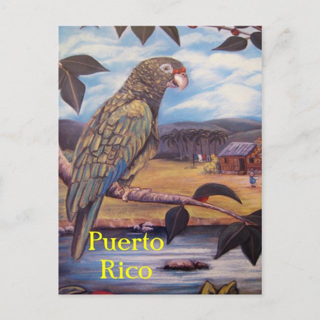 Puerto Rico Postcard (Front)