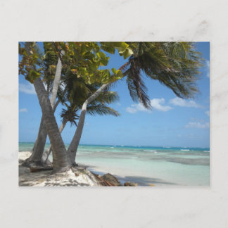 Puerto Rico Postcard