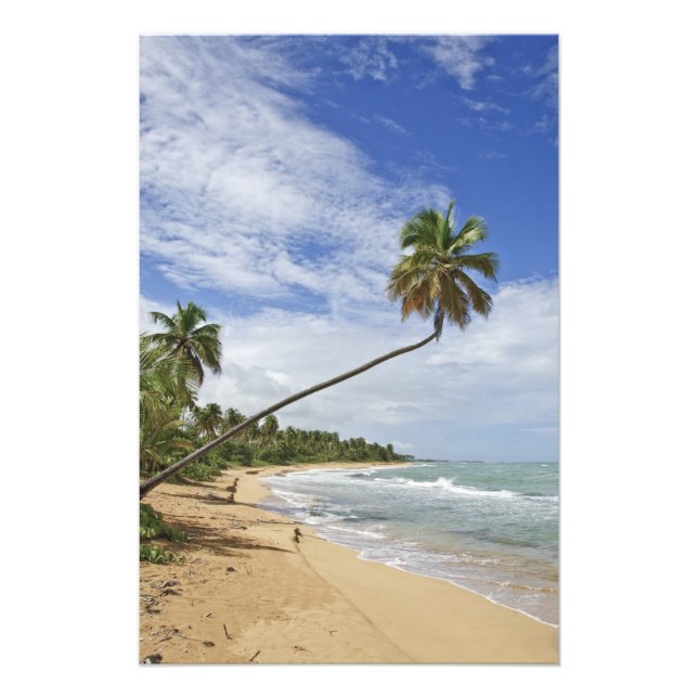 Puerto Rico. Tres Palmitas Beach Puerto Rico Photo Print (Front)