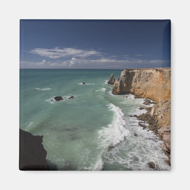 Puerto Rico, West Coast, Cabo Rojo, coastline 2 Magnet (Front)