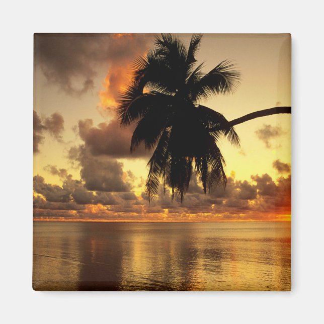 Puerto Vallarta Magnet (Front)