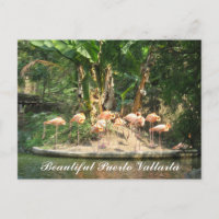 Puerto Vallarta Postcard