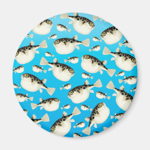 puffer fish blue magnet