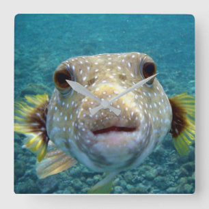 ***PUFFER FISH*** FUN CLOCK