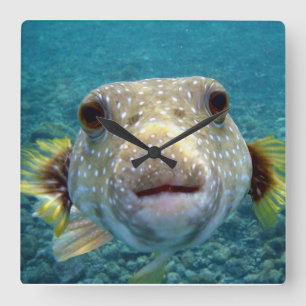 ***PUFFER FISH*** FUN CLOCK