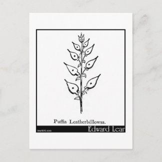 Puffia Leatherbellowsa. Postcard