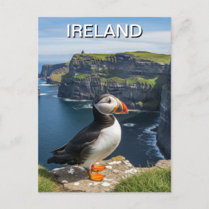 Puffin at Cliffs of Moher Ireland Travel Postcard