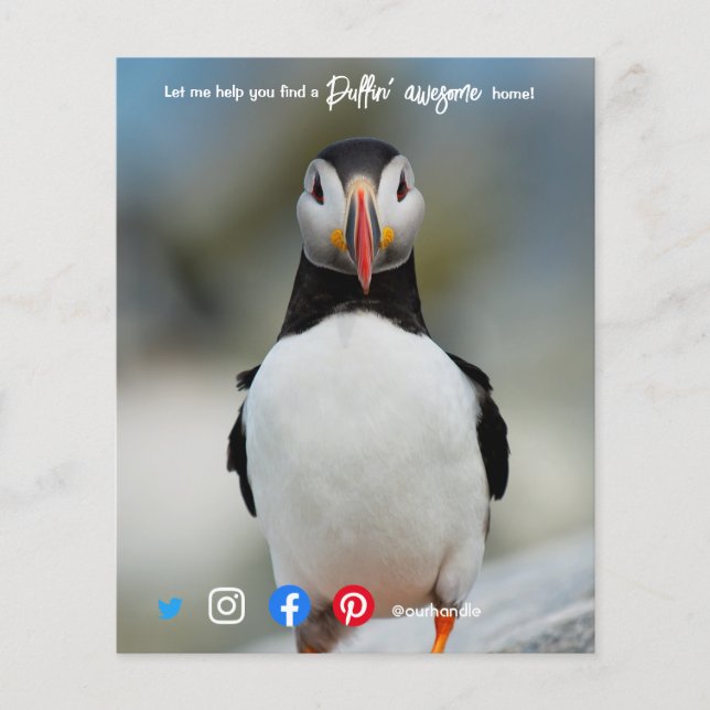 puffin awesome real estate agent marketing  postca flyer (Front)