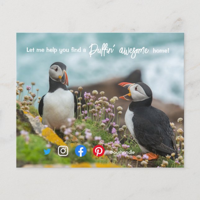 puffin awesome real estate agent marketing  postca flyer (Front)