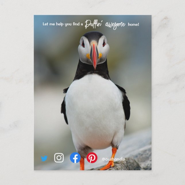 puffin awesome real estate agent marketing  postca postcard (Front)