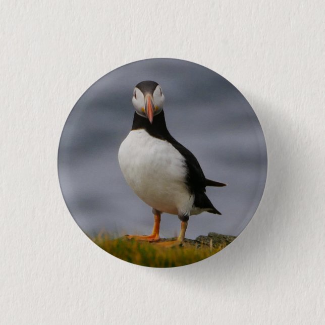 Puffin Badge 1 Inch Round Button (Front)