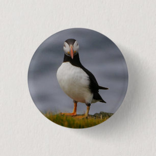 Puffin Badge 1 Inch Round Button
