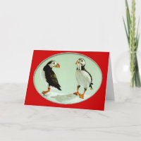 Puffin Bird Comical Art Gifts