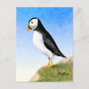 Puffin Bird Watercolor Painting Postcard