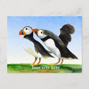 Puffin Bird Watercolor Painting Postcard