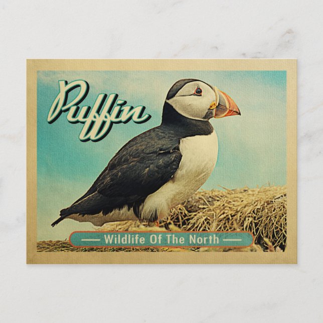 Puffin Bird - Wildlife of the North Postcard (Front)