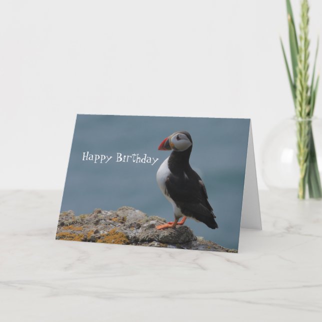 Puffin Birthday Greetings Card (Front)