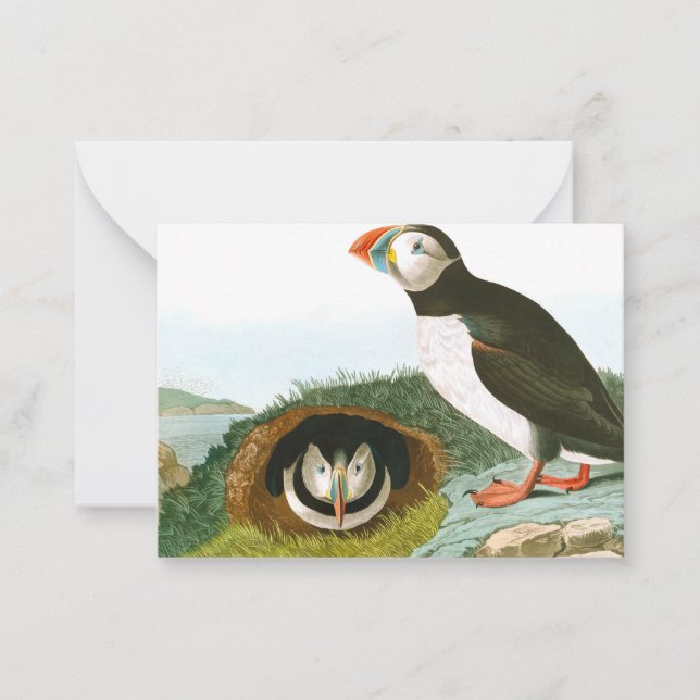 Puffin by John James Audubon Card (Front)