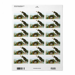 Puffin by John James Audubon Label