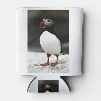 Puffin. Can Cooler