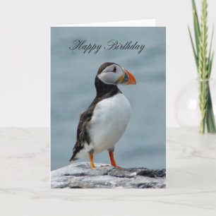Puffin Carte de voeux d'anniversaire