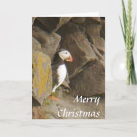 Puffin Christmas Card