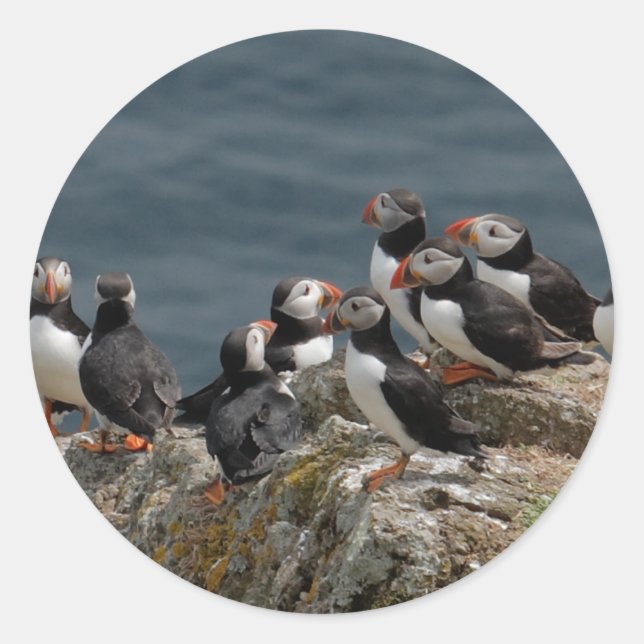 Puffin Classic Round Sticker (Front)