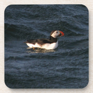 Puffin Coaster