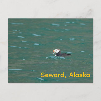 Puffin eating fish holiday postcard