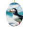 Puffin Fratercula arctica  at Látrabjarg, Iceland.