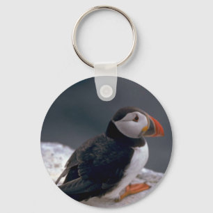 Puffin, Fratercula artica Keychain