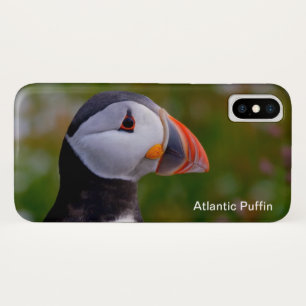 Puffin image for iPhone / iPad case