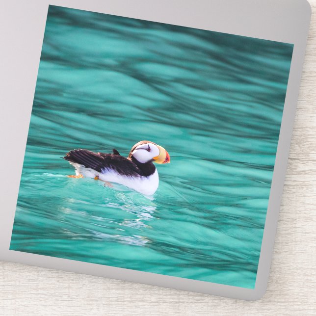 Puffin In Resurrection Bay, Alaska (Detail)
