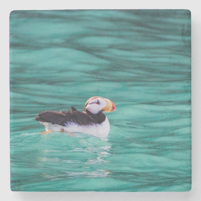 Puffin In Resurrection Bay, Alaska Stone Coaster (Front)