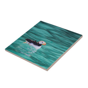 Puffin In Resurrection Bay, Alaska Tile