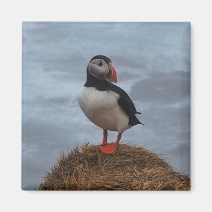 Puffin in the Mist Fridge Magnet