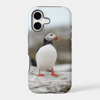 Puffin Iphone Case 5