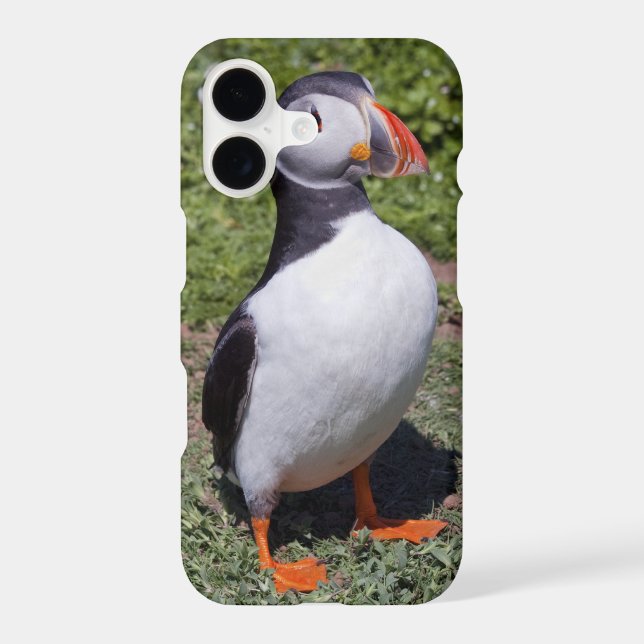 Puffin iPhone X Case (Back)