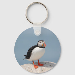 Puffin keychain