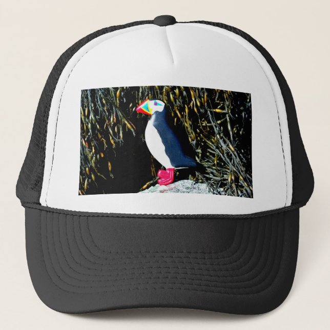 Puffin lovers hat (Front)