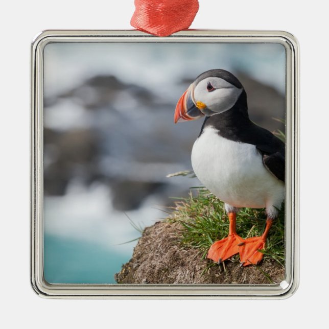 Puffin Metal Ornament (Front)